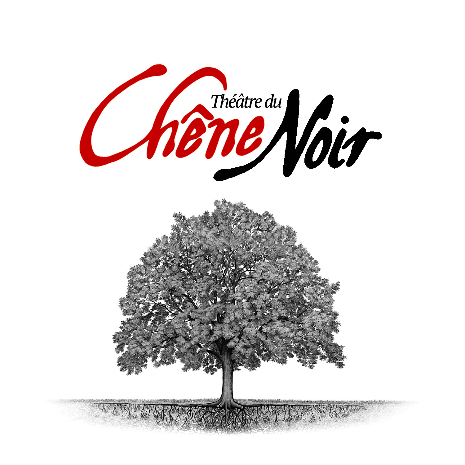 Chêne Noir